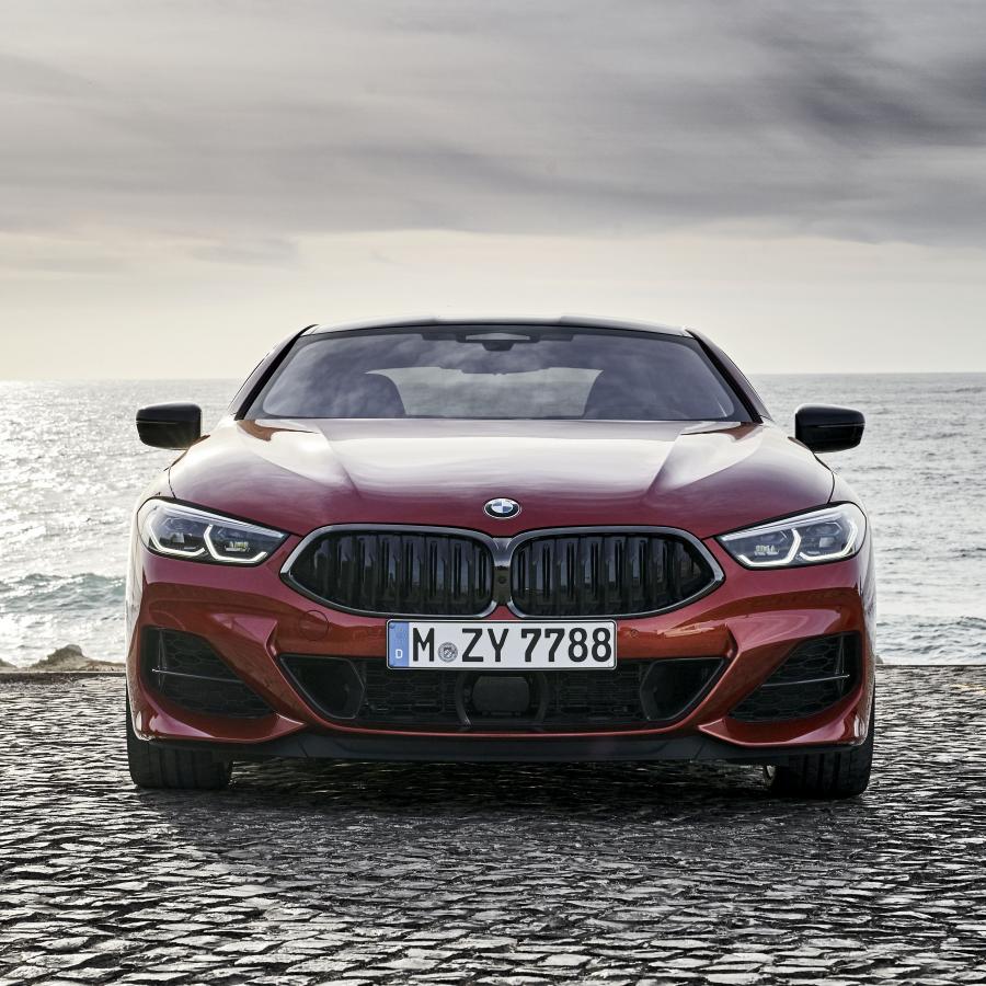  BMW M850i xDrive Carbon Package (G15) 2018 года  (WW) (фото 247 из 287)